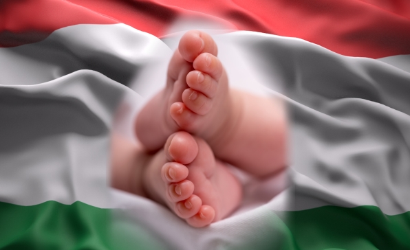 [전문가오피니언] 한국의 인구감소문제와 헝가리의 출산정책