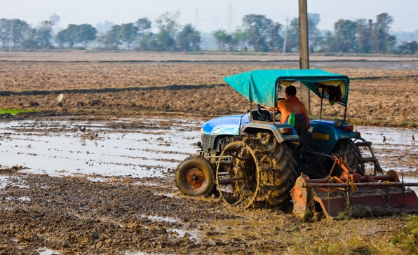 [이슈트렌드] 인도, 1년 2개월 만에 농업개혁법 폐지