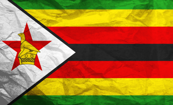 [이슈트렌드] 현(現) 대통령 재선 성공한 짐바브웨 대선, 야권은 부정선거 의혹 제기