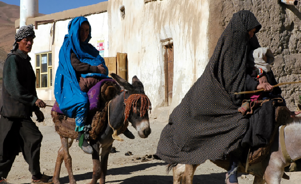 [이슈트렌드] 탈레반, 2023년 아프가니스탄 여성에 대한 인권 탄압 더욱 강화